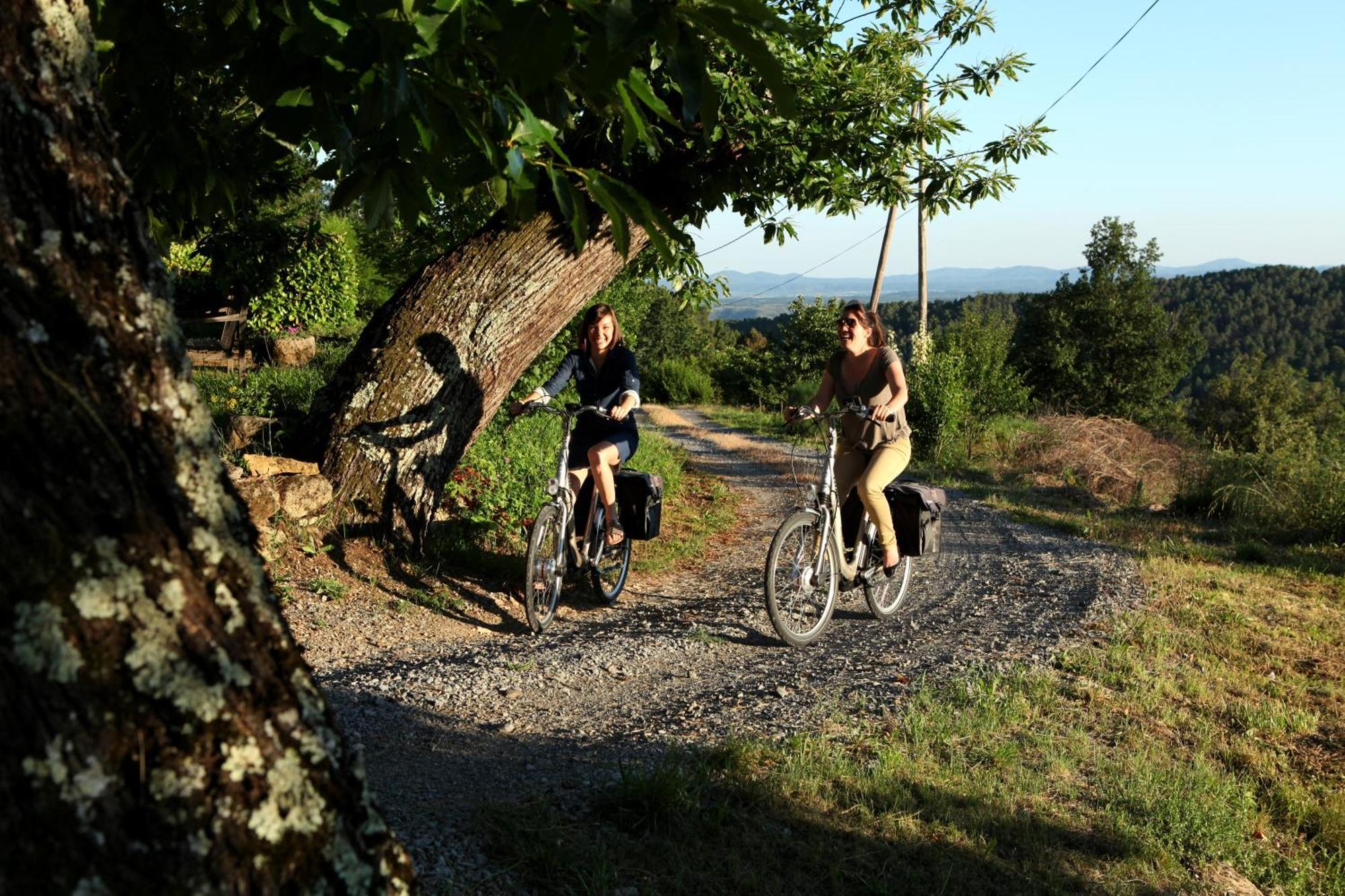 Auberge De La Tour De Brison Sanilhac  Dış mekan fotoğraf